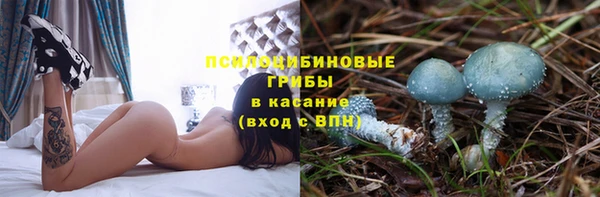 а пвп мука Алексин