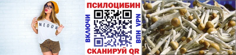 хочу наркоту  ОМГ ОМГ как зайти  Галлюциногенные грибы GOLDEN TEACHER  Татарск 